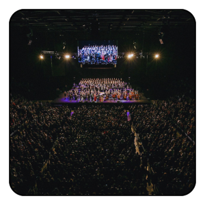 volkswagen arena - istanbul - booking