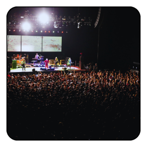 volkswagen arena - istanbul - booking